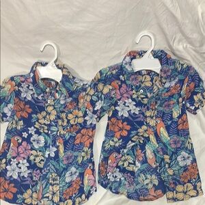 Tropical Button Down Tommy Bahama SET OF 2